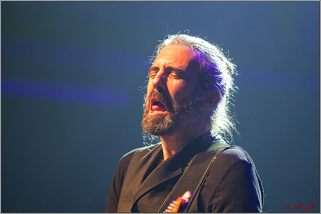 Lebenslänglich BAP Jubilämstour 1976 2016, 21.12.2016